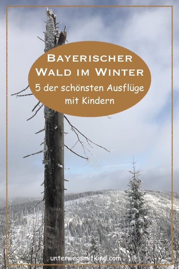 Bayerischer Wald Ausflüge Winter - Pin