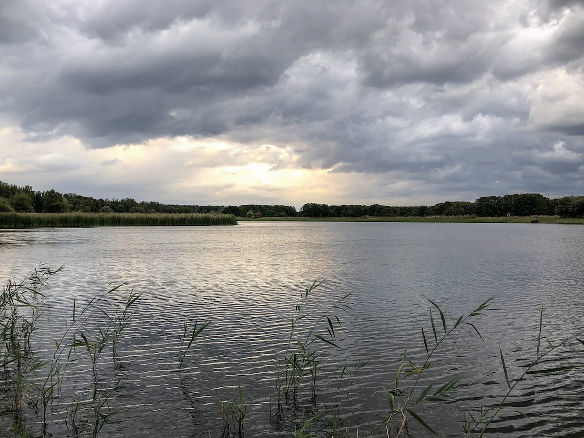 Müritz Nationalpark - Wasser und Wald