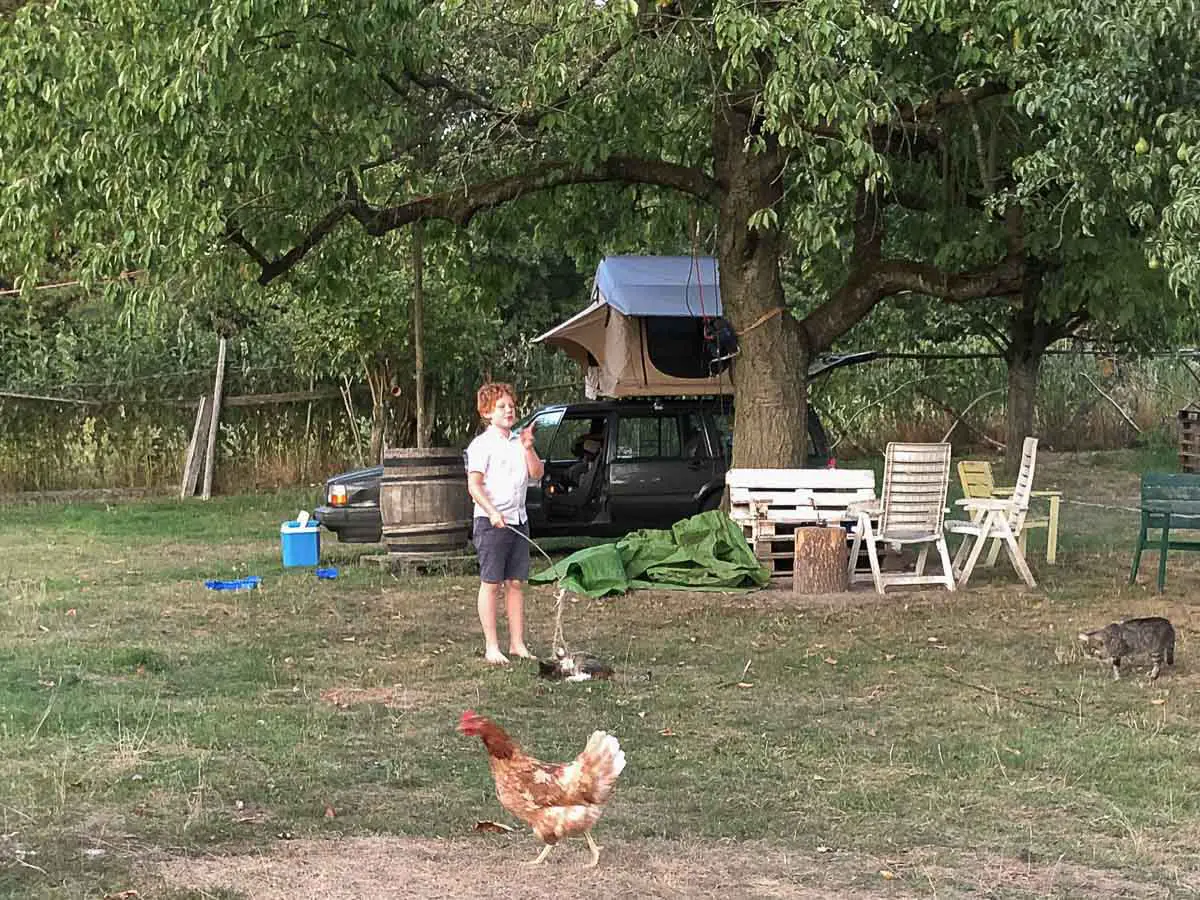 Dachzelt-Camping auf dem Bauernhof mit Kind