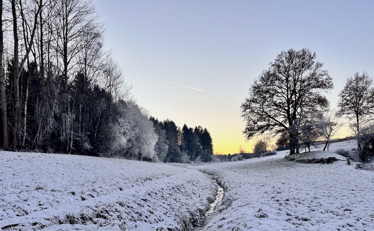 Ein verschneites Bachtal im Fichtelgebirge im Winter mit Mischwald links und einzelnen winterlichen Laubbäumen rechts eines Bachlaufes in der Abenddämmerung