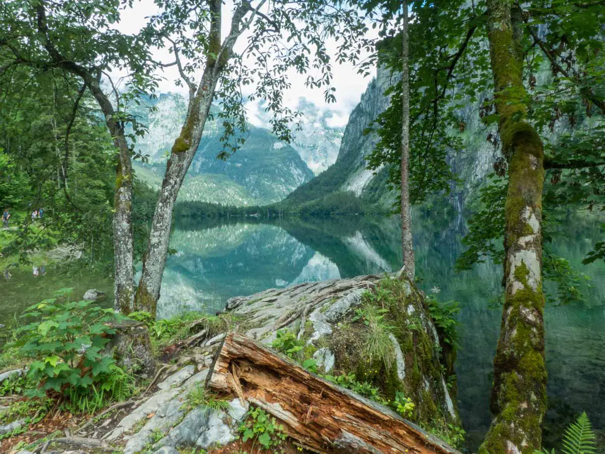 Urlaubsfotos - Reiseerinnerungen 2020 Nationalpark Berchtesgaden