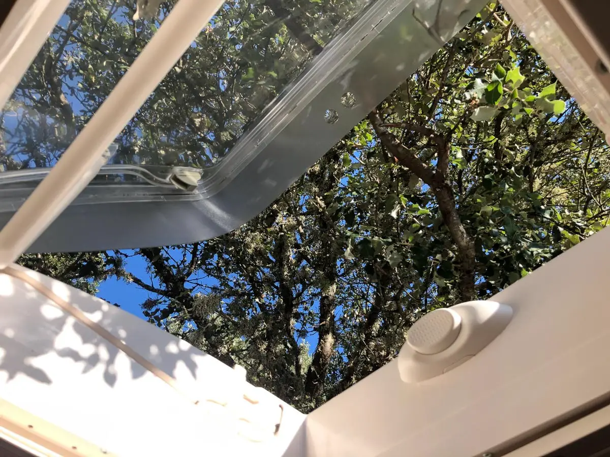 Blick durchs Wohnmobil-DAchfenster in Korkeichen auf Korsika