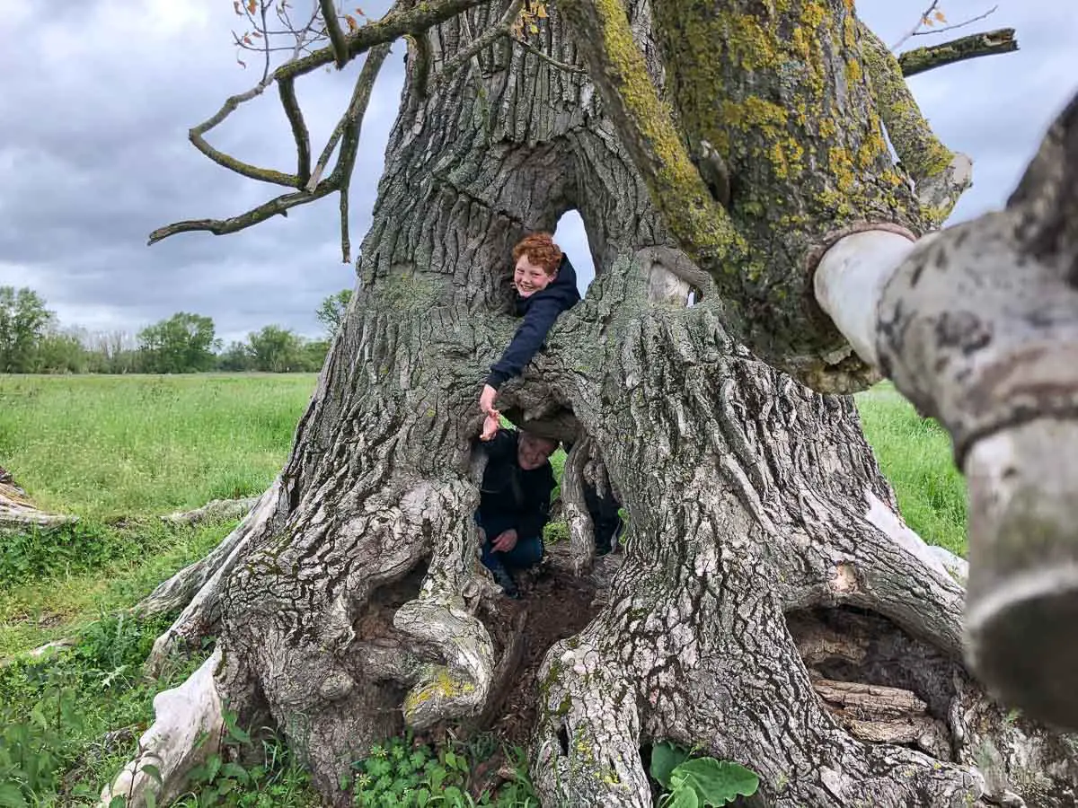 Mutter und Kind in einem hohlen Baum an der Elbe