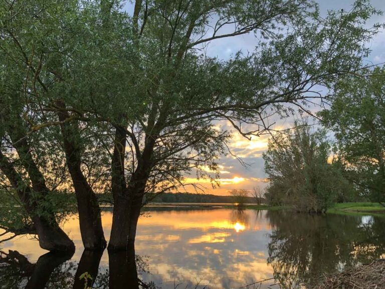 Familienzeit an der Brandenburger Elbe Urlaub am Fluss in der