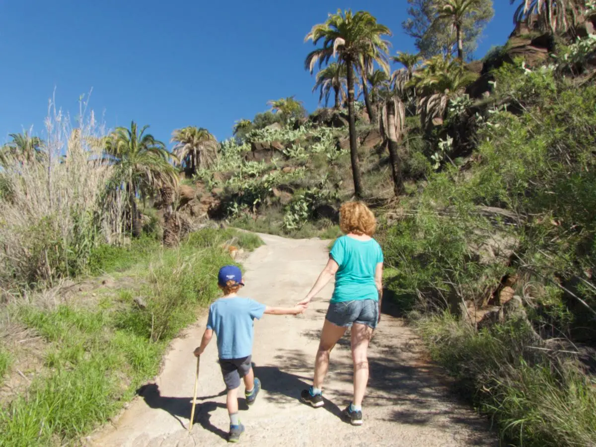 Wandern mit Kind unter Palmen auf den Kanarischen Inseln