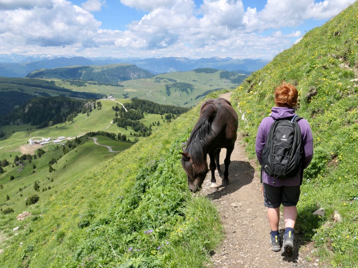 Kind beim Wandern auf der Seiser Alm mit Pferd auf dem Wanderweg