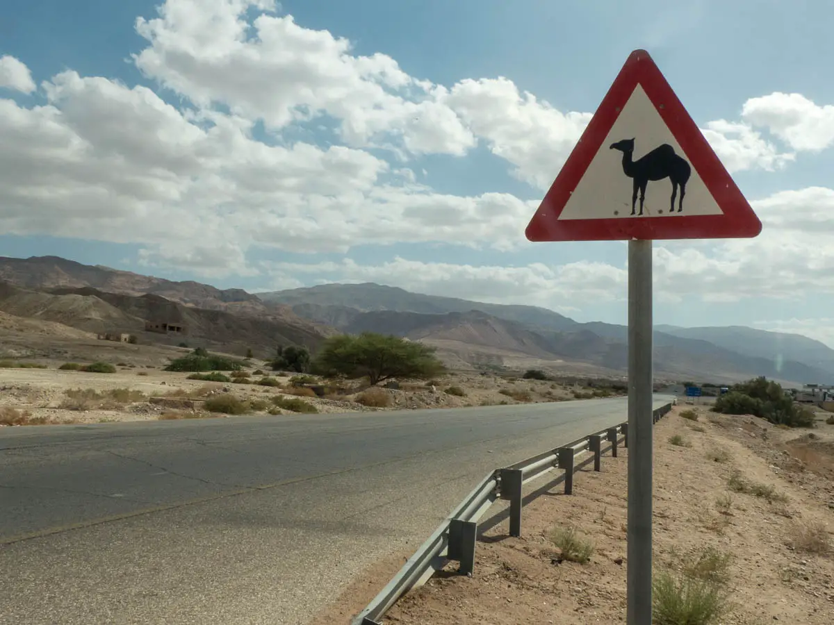 Straße mit Kamel-Warnschild in Jordanien