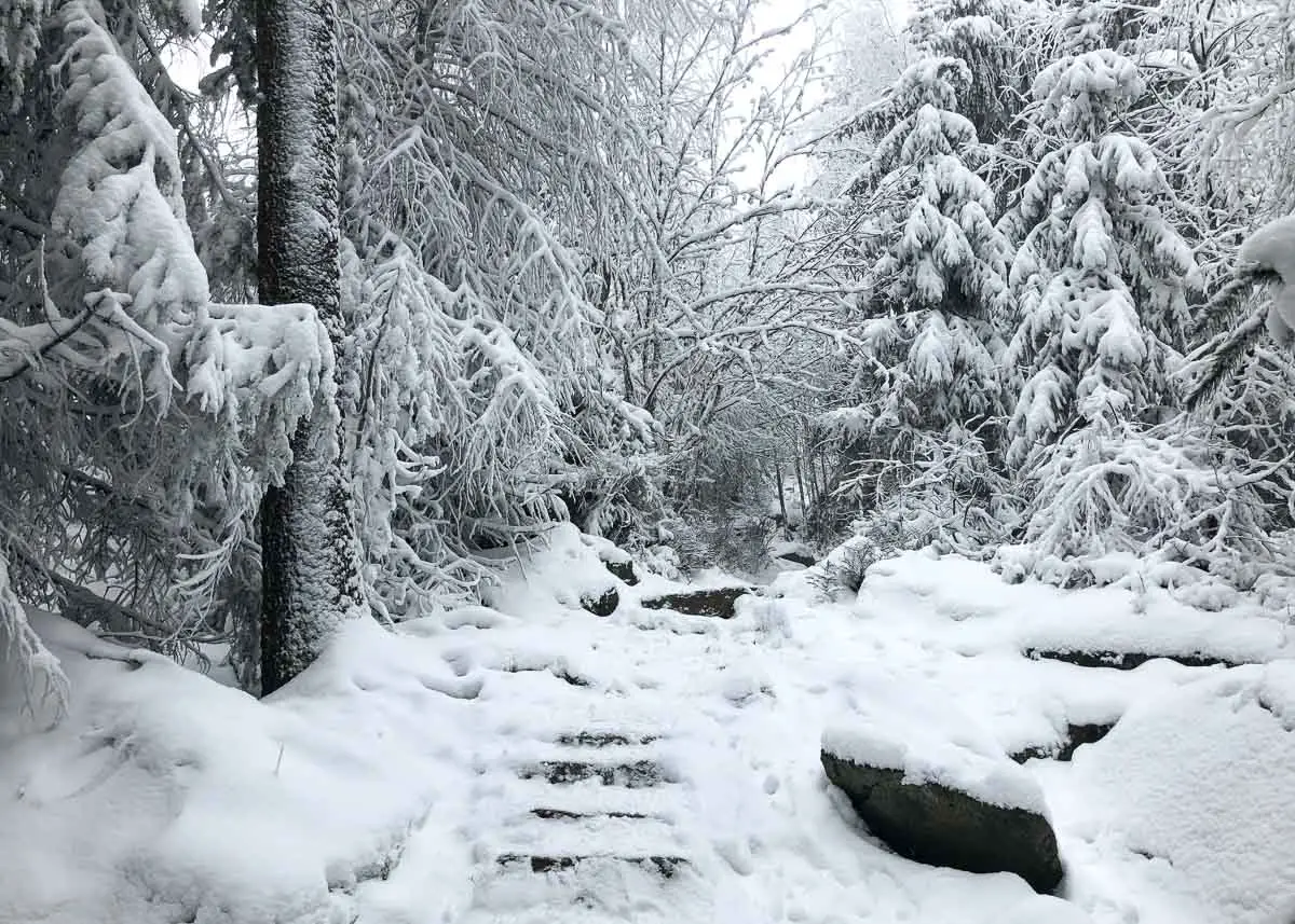 Winterlandschaft im Fichtelgebirge: verschneite Treppenstufen im Wald