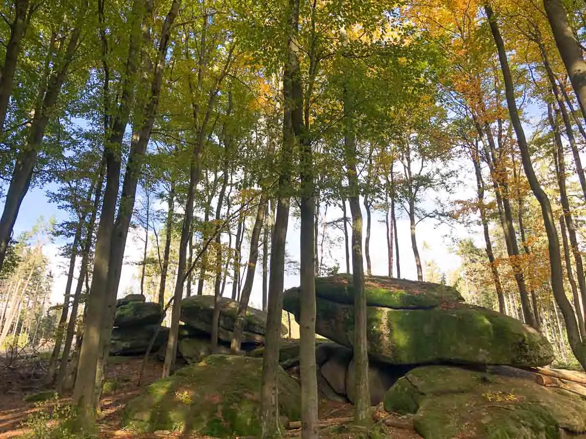 Herbstwald im Fichtelgebirge am Kornberg mit Wackelstein-Felsen