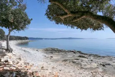 Strand auf der Brijuni-Insel im Nationalpark von Istrien