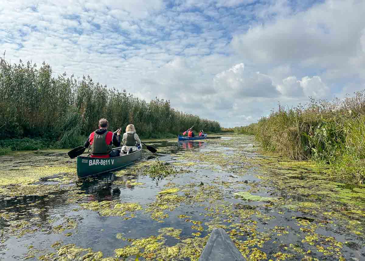 Im Nationalpark Unteres Odertal paddeln Menschen mit Kanus durch einen ruhigen, pflanzenreichen Wasserlauf, der von hohem Schilf umgeben ist, unter einem teilweise bewölkten Himmel. Die Szene vermittelt den Eindruck von Abenteuern in der freien Natur und Naturerkundung.