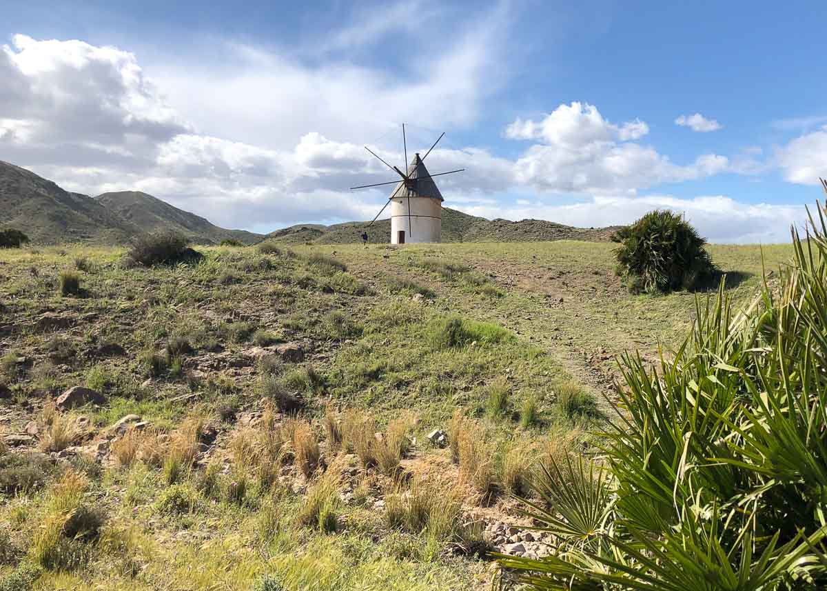 Bergige Landschaft mit Windmühle und Palmengewächsen im Osten von Andalusien
