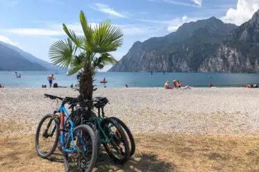 Fahrräder unter Palmen am Gardasee Strand mit Bergen im Hintergrund