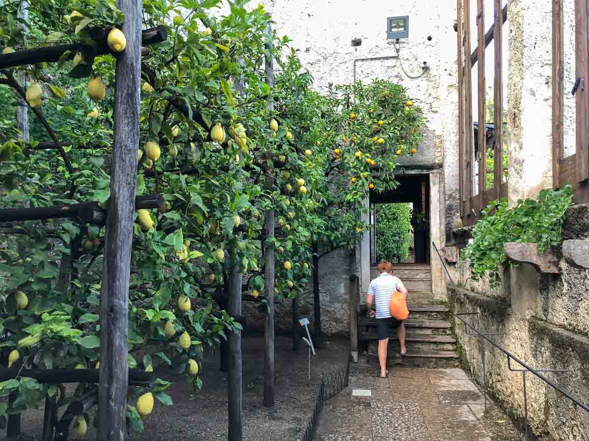 Zitronengarten Limonaia del Castel in Limone