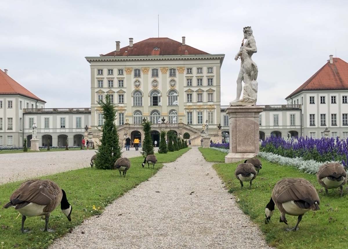 Schloss Nymphenburg vom Park aus mit Gänsen im Vordergrund