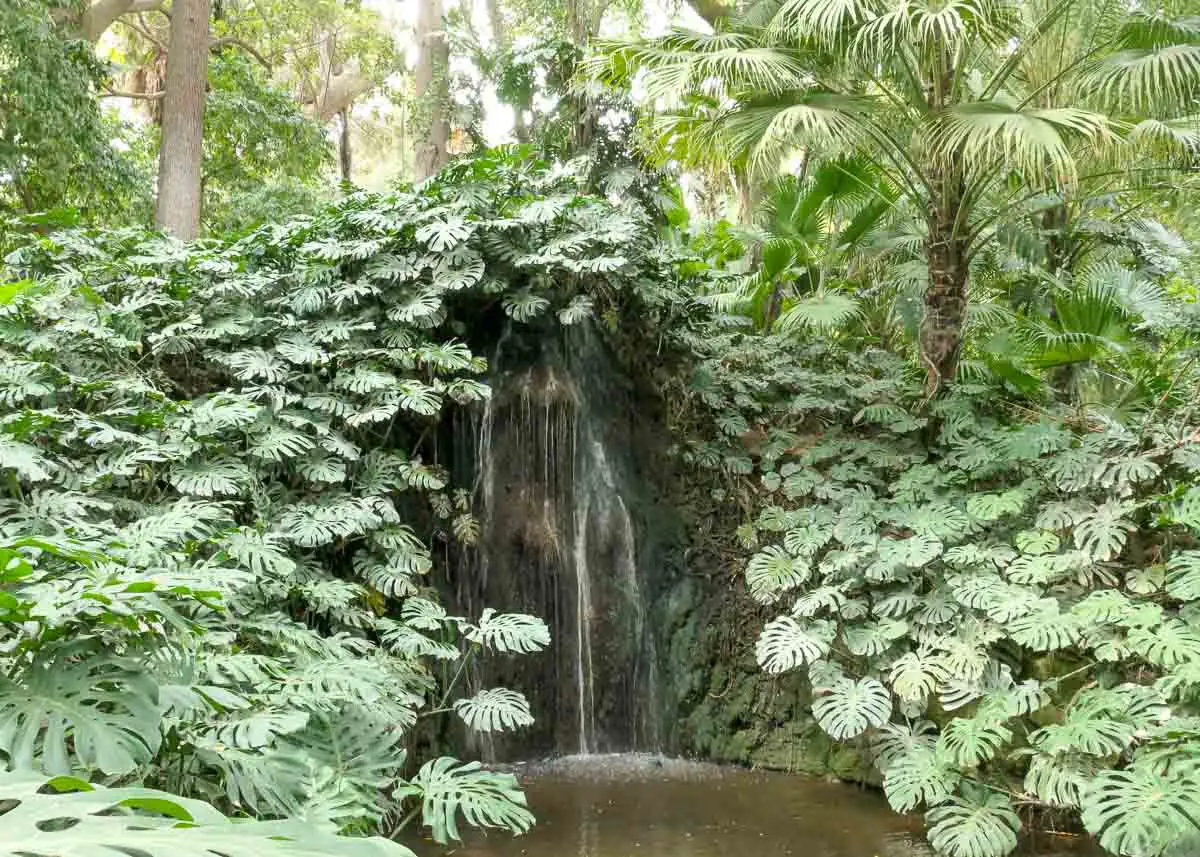 Wasserfall im Botanischen Garten von Malaga