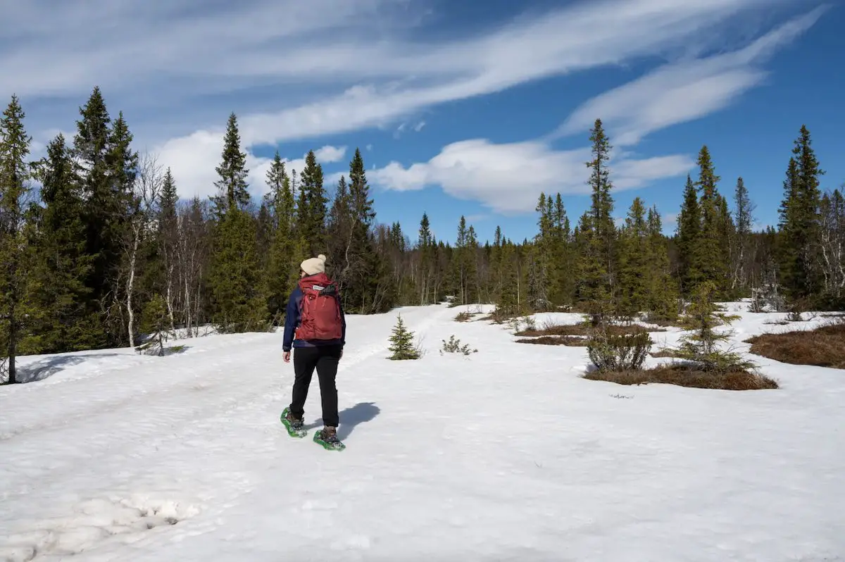 Frau mit Schneeschuhen in Taiga in Lappland