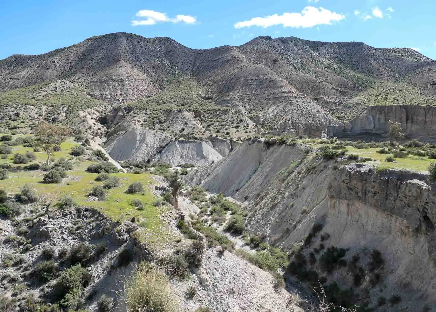 Halbwüstenlandschaft in Andalusien bei Tabernas mit trockenem Flusstal und grünen Büschen 