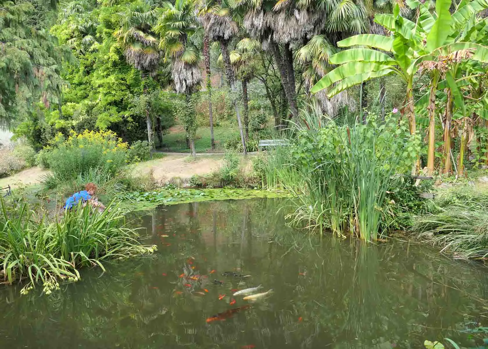 Botanischer Garten Arco mit Arboretum und Golffischteich