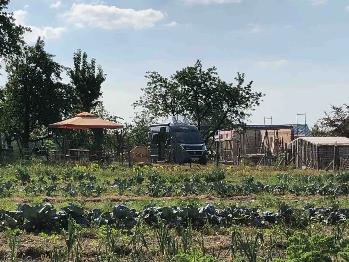 Wohnmobil zwischen Gemüsefeldern beim Camping auf dem Bauernhof