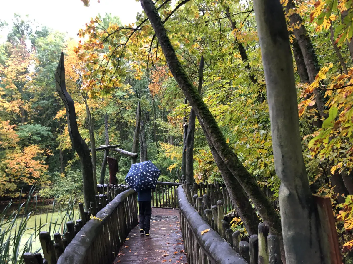 Kind mit Regenschirm auf einem Wanderweg in einem Herbstwald