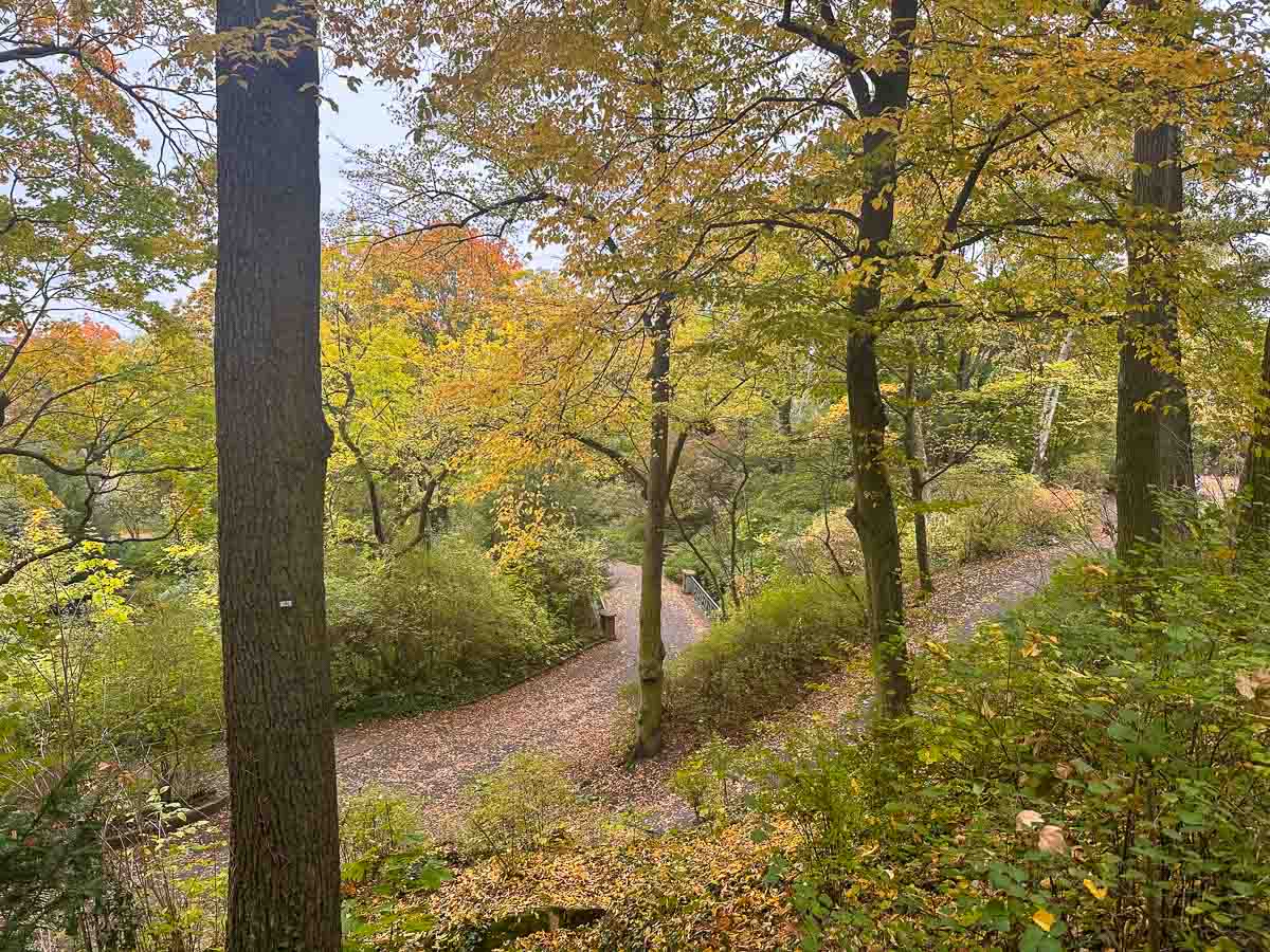 Im Viktoriapark Berlin schlängelt sich ein gewundener Feldweg durch einen Wald mit hohen Bäumen und herbstlichem Laub in Grün-, Gelb- und Orangetönen - perfekt für Ausflüge im Herbst rund um Berlin. Gefallene Blätter bedecken den Boden und schaffen eine ruhige und heitere Szene.