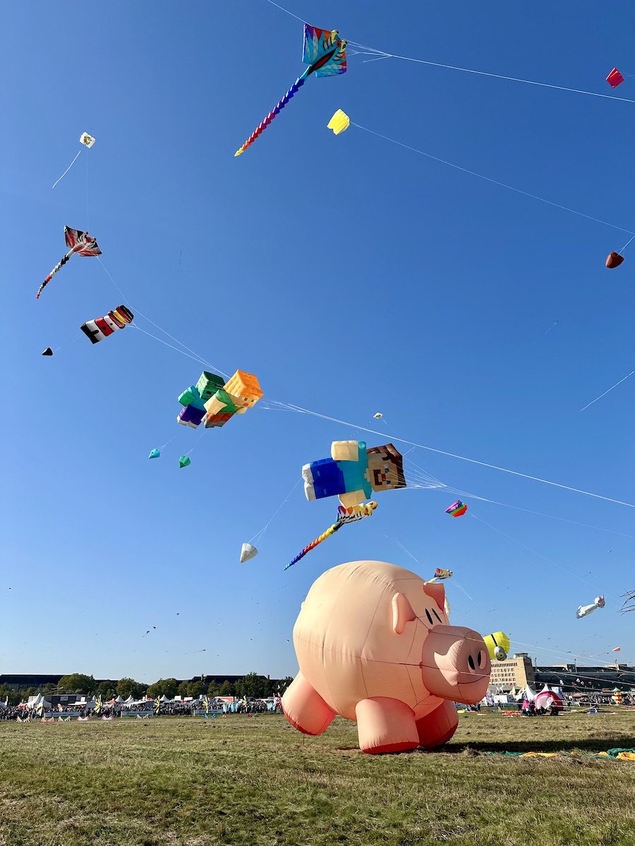 Ein großes aufblasbares Schwein und farbenfrohe Drachen in verschiedenen Formen und Größen fliegen beim Drachenfest Berlin auf dem Tempelhofer Feld in den strahlend blauen Himmel über einer Wiese.