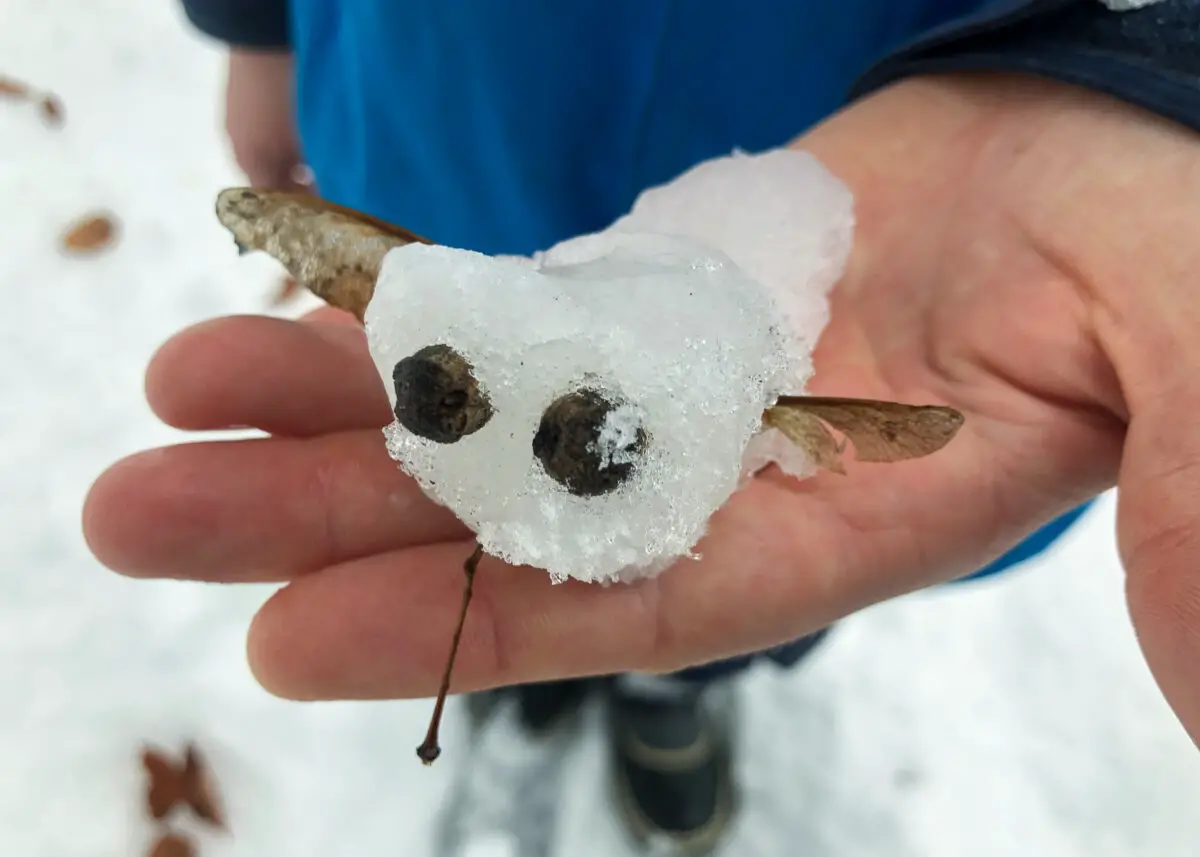 Kinderhand mit einem selbst gebastelten Tier aus Schnee und Pflanzenteilen