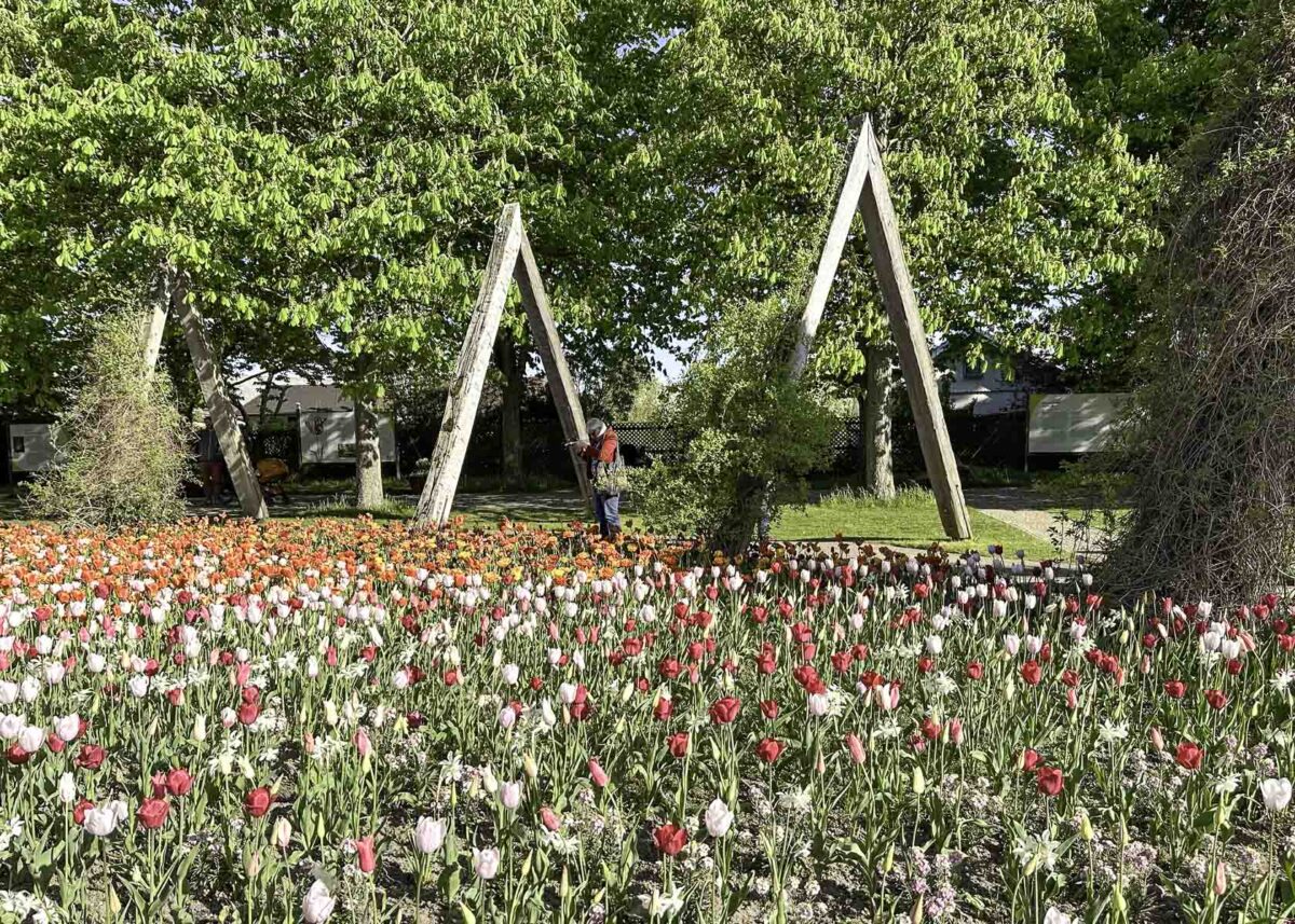 riesiges Tulpenbeet vor Bäumen in der Berliner Parkanlage Britzer Garten