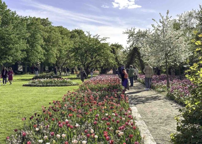 Weg im Berliner Park Britzer Garten zur Tulpen- und Baumblüte im April