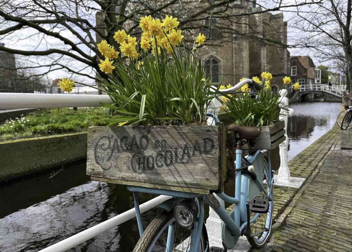 Frühlingsblumen im Korb eines Holland-Fahrrads in Delft an einer Gracht