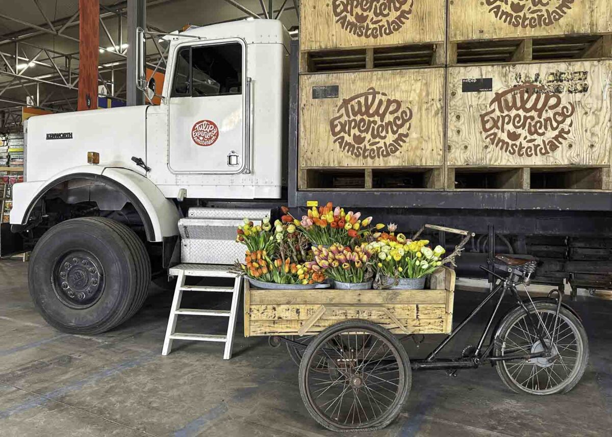 Truck mit Kisten voller Tulpenzwiebeln im Museum von Tulip Experience Amsterdam