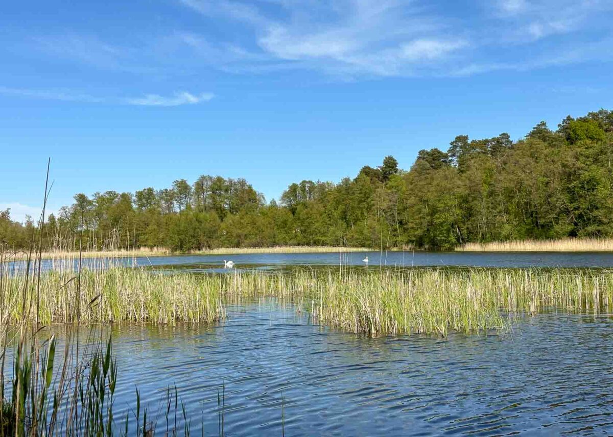 Kurzt®ipp: Rundweg um den Strehlesee