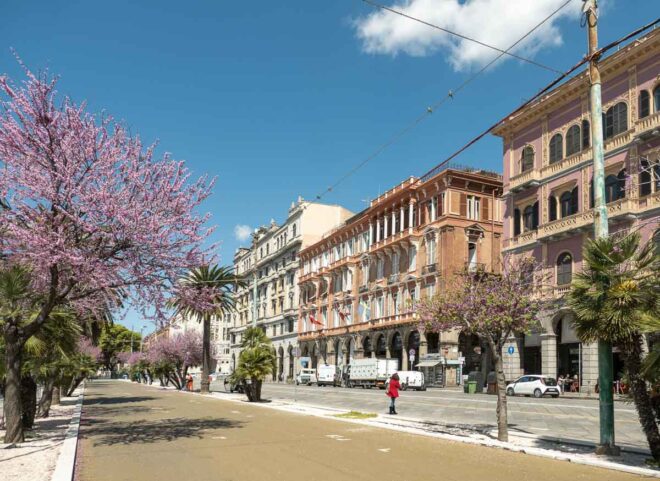 Blick entlang der herrschaftlichen Gebäude aus dem 19. Jahrhundert in der Via Roma von Cagliari im Altstadt-Viertel Marina mit einem breiten Fußweg, lila blühenden Bäumen und Sittichen auf der Stromleitung