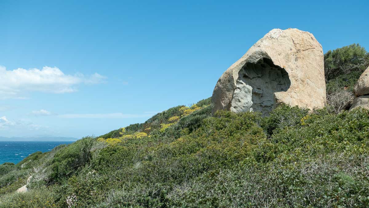 Eine hohle Felskuppe überragt dichtes Macchia-Buschwerk am Mittelmeer auf Sardinien