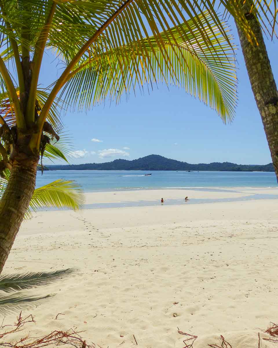 Einsamer weißer Traumstrand mit Fächerpalmen vor einem blauen Meer und einer Insel in Panama.