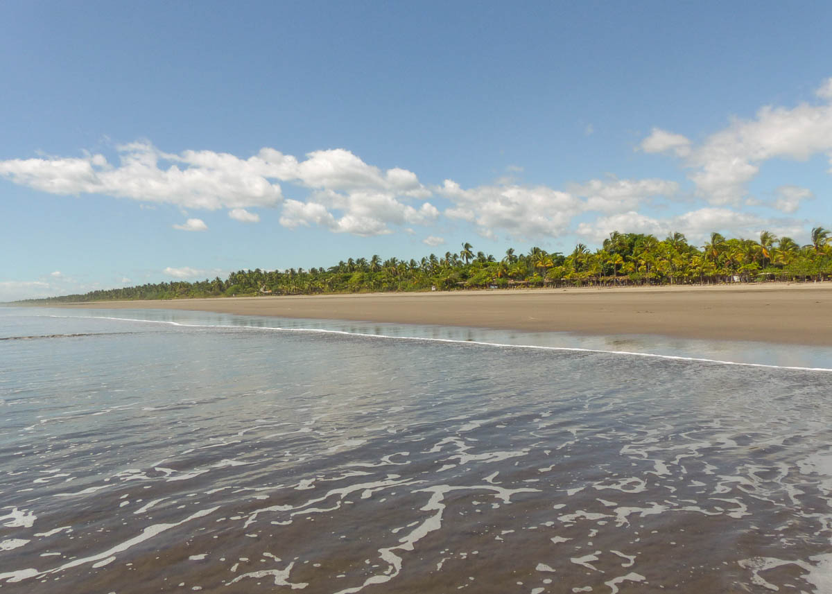 Endlos langer Sandstrand ohne Menschen mit tropischer Vegetation im Hintergrund aus dem flachen Meerwasser fotografiert. 