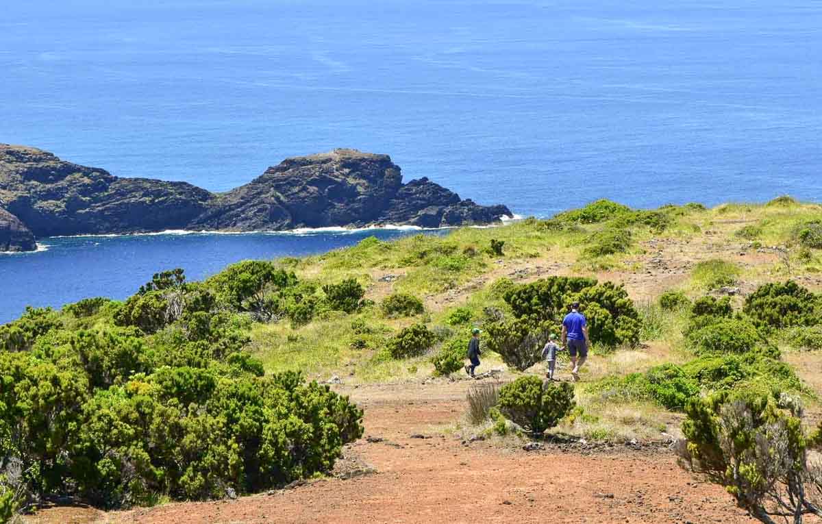Mann wandert mit zwei kleinen Kindern auf der Insel Santa Maria (Azoren) durch eine grüne Landschaft mit Wiesen und Büschen am Meer. Im Hintergrund sieht man eine zerklüftete Steilküste.