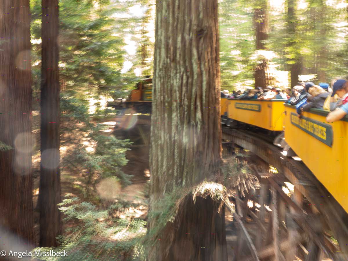 Ein gelber Zug schlängelt sich durch die dichten Redwood-Wälder eines Nationalparks in den USA. Man sieht die Passagiere, die die Fahrt genießen, während das Sonnenlicht durch die Blätter fällt und dieser ruhigen Szene einen warmen, gesprenkelten Effekt verleiht.