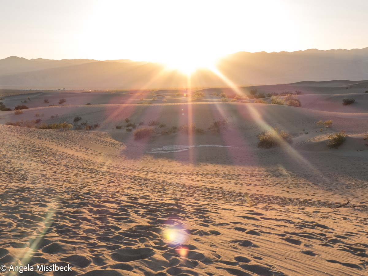 Sonnenaufgang über den Mesquito Flat Dunes im Death Valley, einer Wüstenlandschaft im Westen der USA mit goldenen Sanddünen und spärlicher Vegetation. Sonnenstrahlen breiten sich über den klaren Himmel aus und erhellen die Landschaft mit warmem Licht. Schatten der Dünen erzeugen sanfte Kontraste im Sand.