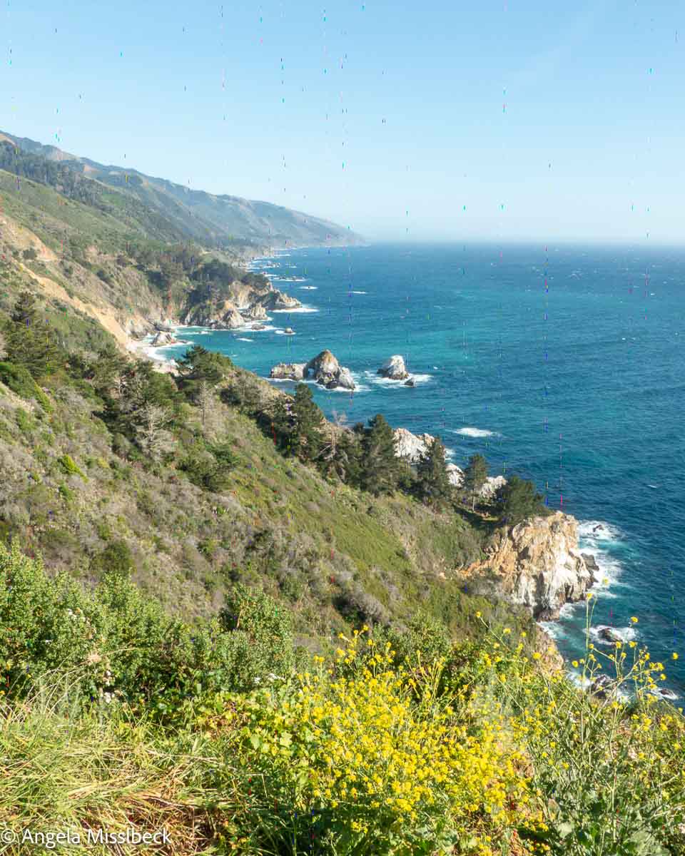 Eine Küstenlandschaft in einem der renommiertesten Natur- und Nationalparks der USA zeichnet sich durch eine schroffe Klippe mit grüner Vegetation aus. Der tiefblaue Ozean erstreckt sich unter klarem Himmel bis zum Horizont, während Wellen gegen die Felsen schlagen. Im Vordergrund blühen gelbe Wildblumen.
