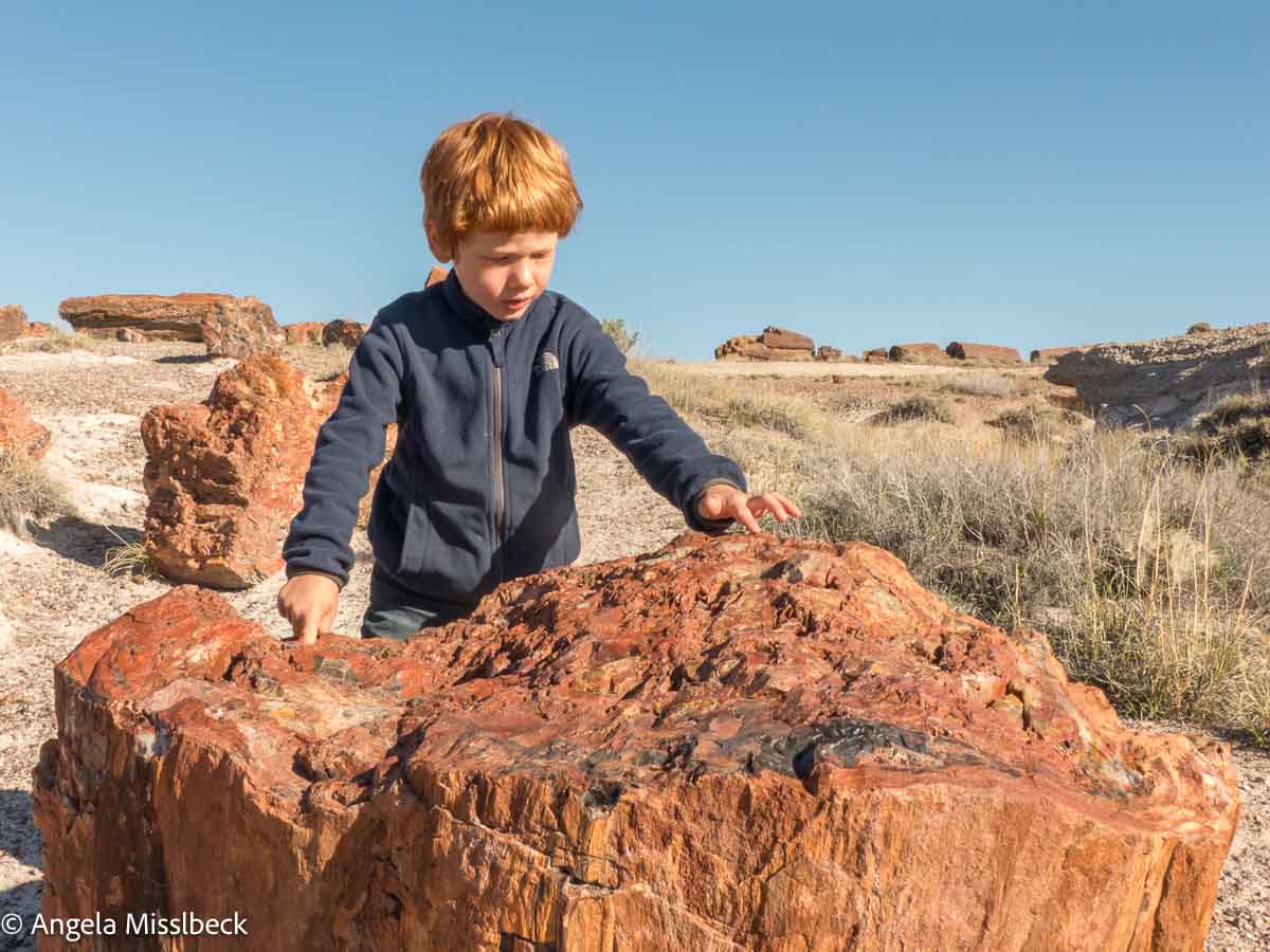 Ein Kind mit roten Haaren und einer dunklen Jacke erkundet einen großen, rotbraunen versteinerten Baumstamm in einer Wüstenlandschaft der USA inmitten des Nationalparks Petrified Forest. Weitere versteinerte Holzstücke und spärliche Vegetation sind unter einem klaren blauen Himmel sichtbar.