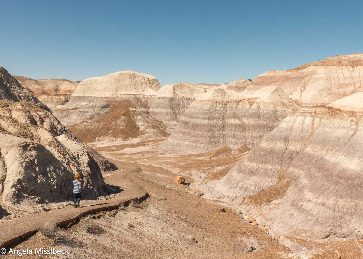 Ein Kind schlendert auf einem gepflasterten Weg durch einen Nationalpark, umgeben von den weiten, zerklüfteten Ödländern im Westen der USA. Die Landschaft besticht durch geschichtete Felsformationen in Beige-, Braun- und Grautönen unter einem klaren blauen Himmel.