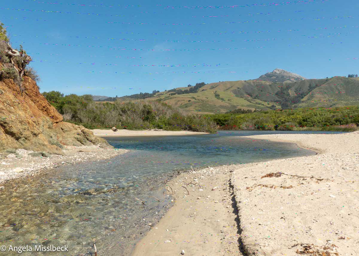 Eine ruhige Landschaft in einem der atemberaubenden Natur- und Nationalparks im Westen der USA zeichnet sich durch einen klaren, gewundenen Bach aus, der durch sandige Ufer fließt. Im Hintergrund erheben sich üppige grüne Hügel unter einem strahlend blauen Himmel.