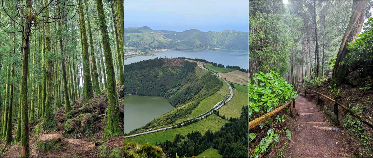 Eine Collage aus drei Bildern: dichter grüner Wald, eine Luftaufnahme einer kurvenreichen Straße zwischen zwei Seen und ein Waldweg mit Holzstufen und Geländern, umgeben von üppiger Vegetation auf São Miguel mit Kindern.