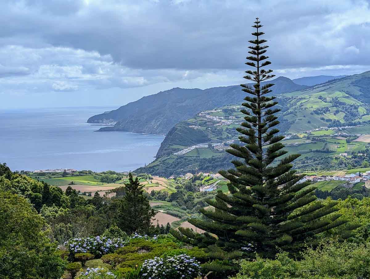 Ein hoher immergrüner Baum überblickt sanfte grüne Hügel, Flickenteppiche von Feldern und eine dramatische Küstenlinie unter einem bewölkten Himmel auf São Miguel mit Kindern, während sich der Ozean bis zum Horizont erstreckt.