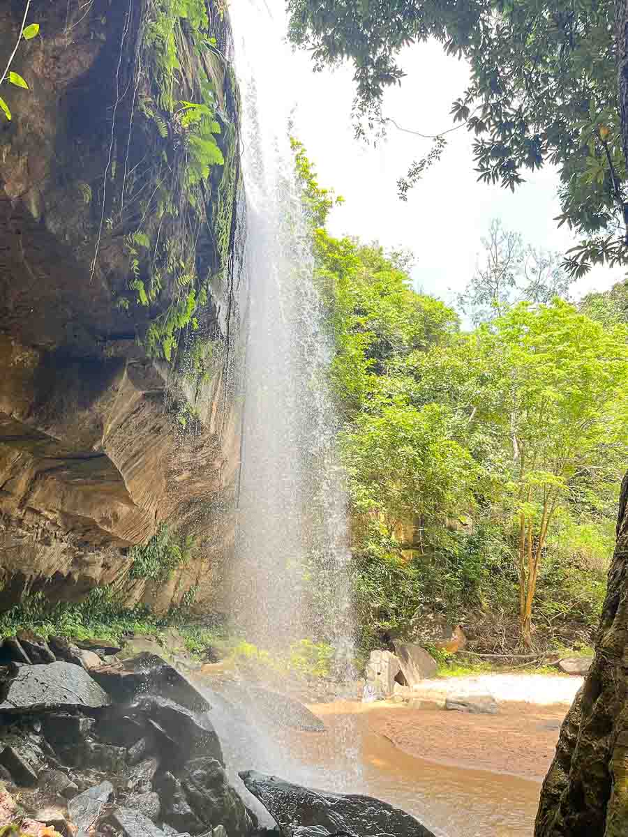 Ein Wasserfall stürzt über eine felsige Klippe, die von üppig grünen Bäumen umgeben ist. Das Sonnenlicht fällt durch die Blätter, wo man die Schönheit der Natur in Kenia mit Kind gemeinsam genießen kann.