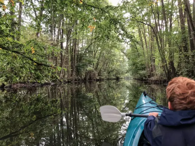 Eine Person mit kurzen roten Haaren paddelt in einem blauen Kajak auf einem ruhigen, schmalen Fluss, umgeben von hohen, grünen Bäumen, die sich im Wasser spiegeln, und genießt einen Abenteuerurlaub inmitten der friedlichen Natur.