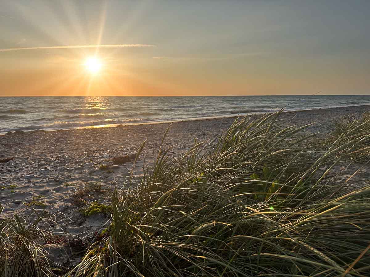 Sonnenuntergang über einem Sandstrand auf Fehmarn mit Kindern, mit sanften Wellen und hohem Gras im Vordergrund, das unter einem klaren Himmel lange Schatten wirft.