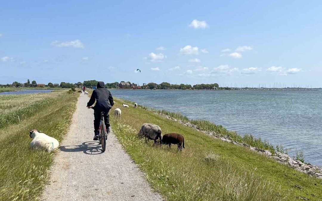 Fehmarn mit Kindern: Die schönsten Ausflüge, Strände und Familienerlebnisse